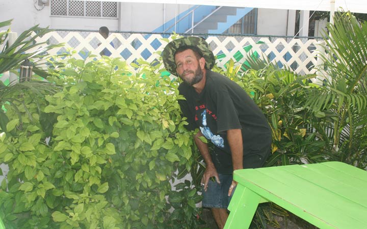 Bushman, your hiding Guide and naturalist